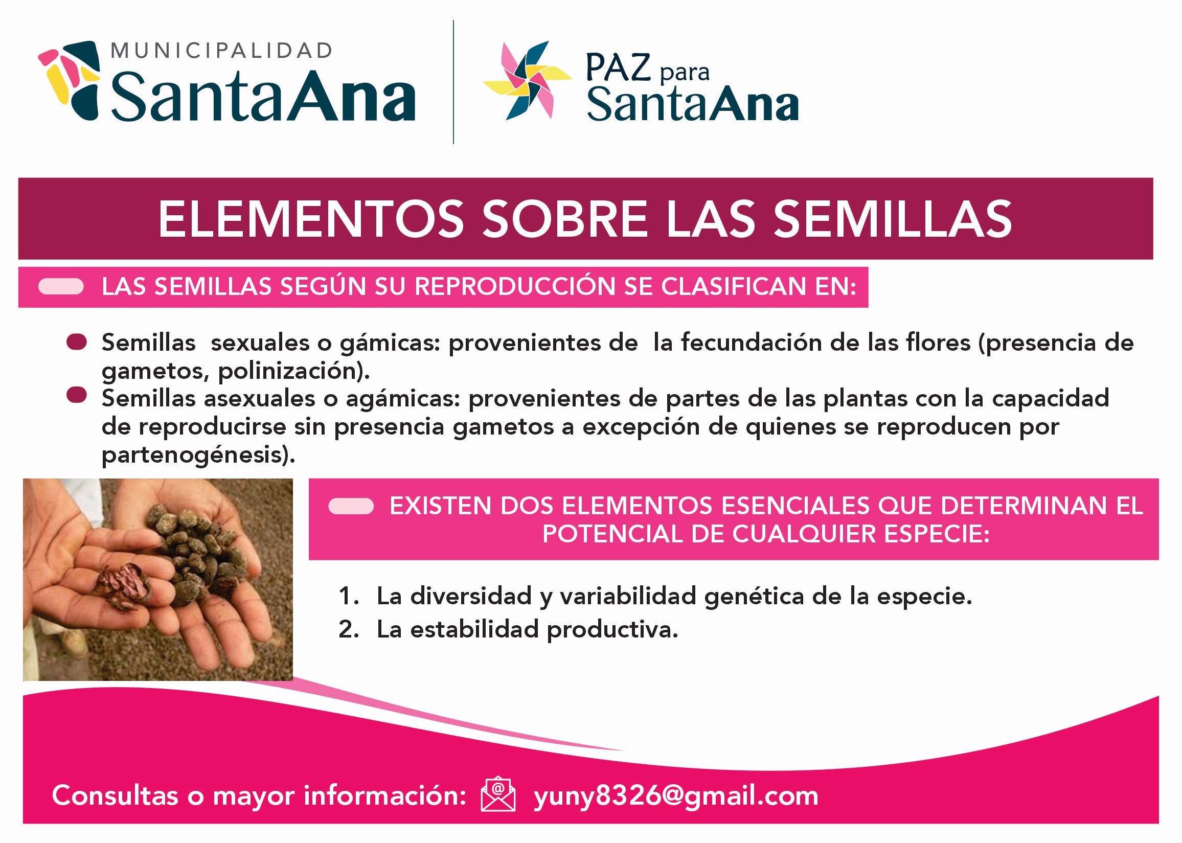 Anuncio Elementos sobre Semillas 1