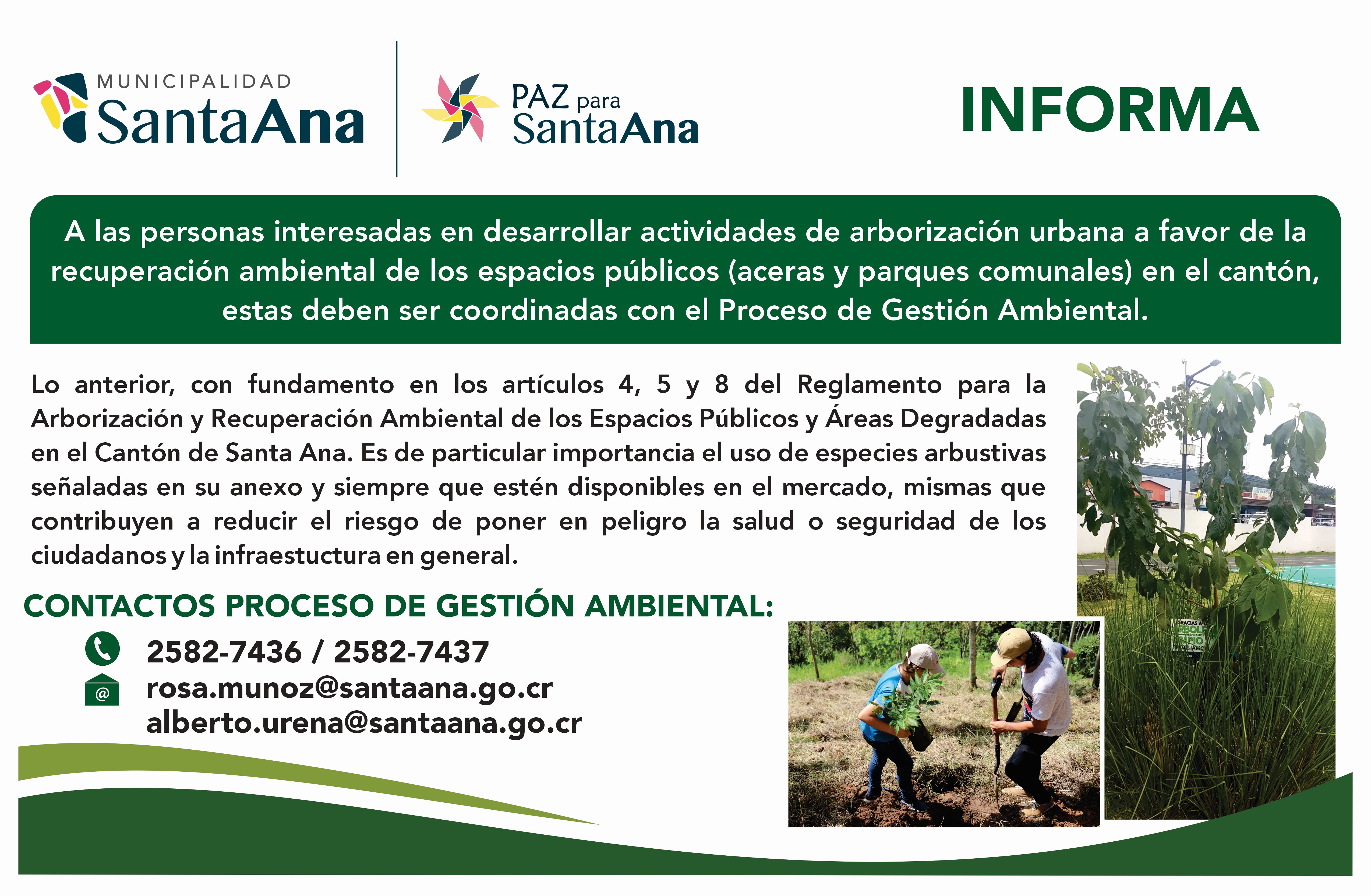 Anuncio Proyectos Arborizacin